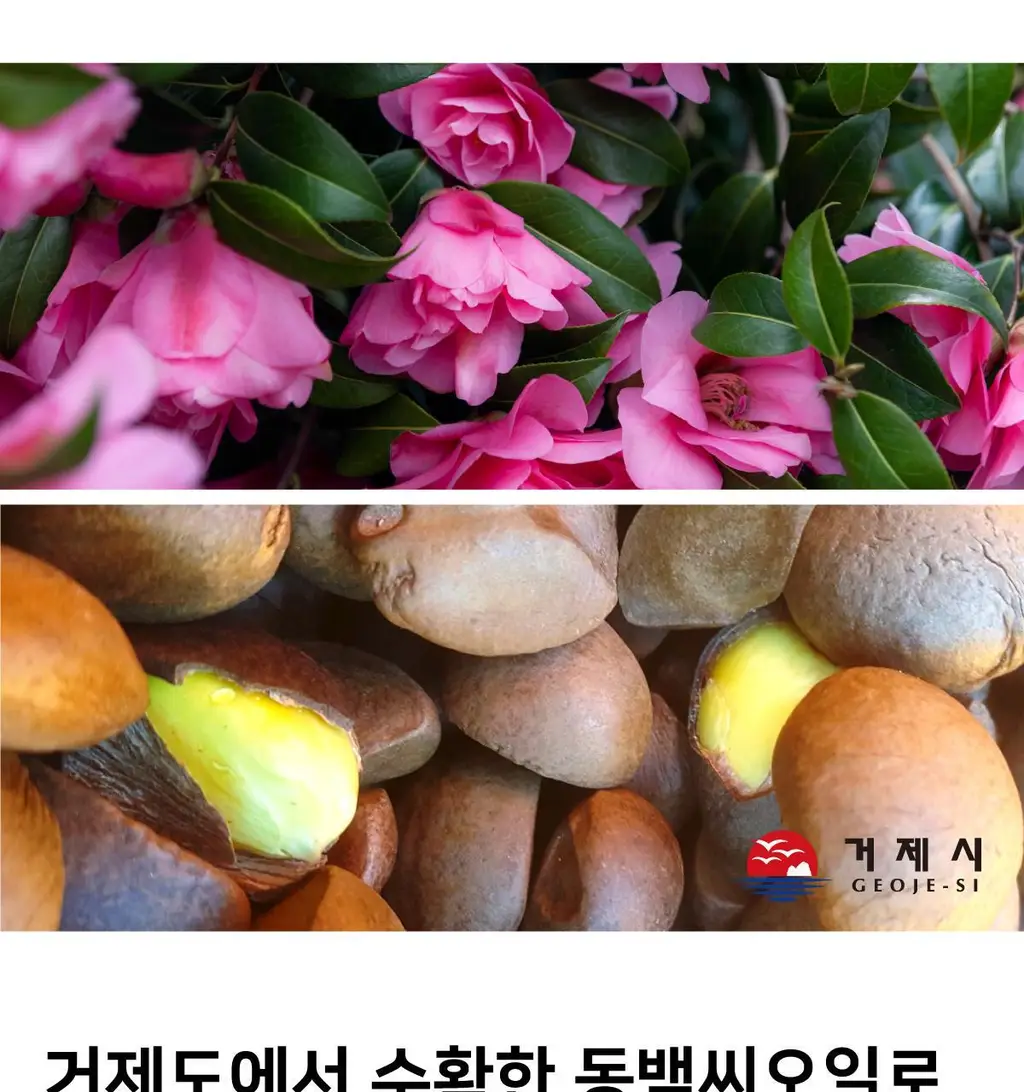 [열보호] 핑크고스트 헤어시럽 2종 택1 상세페이지 15